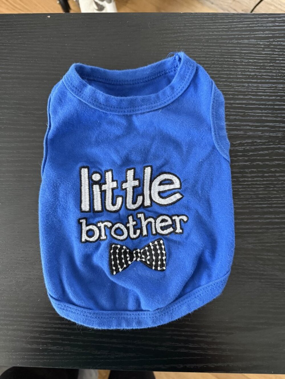 Persian Pet "Little Brother" Pet Shirt